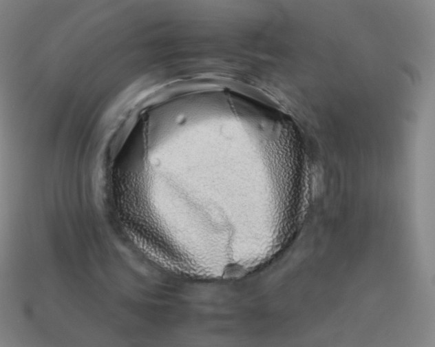 X0000113540339200910091248