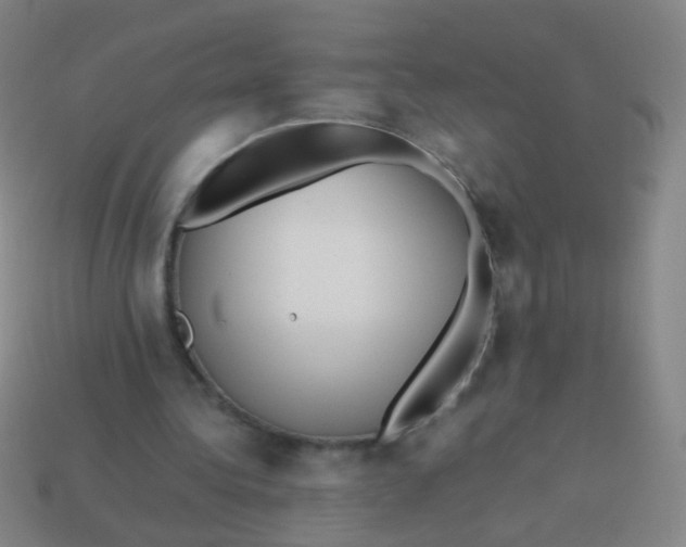 X0000113540340200910091248