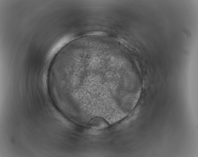 X0000113540341200910091248