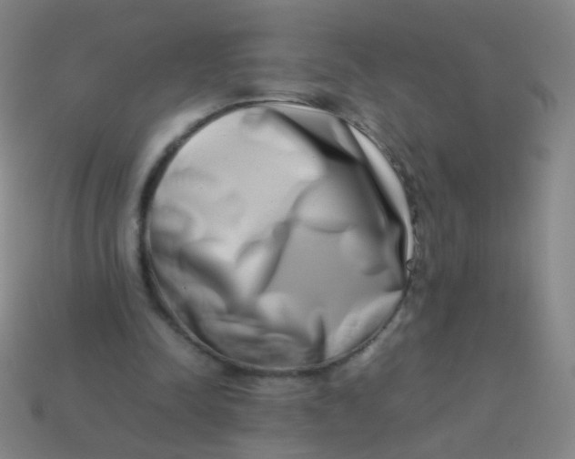 X0000113540342200910091248