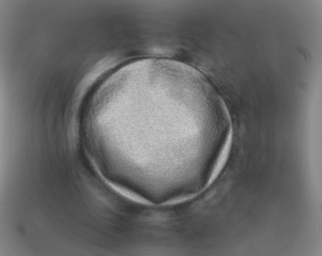 X0000113540343200910091248