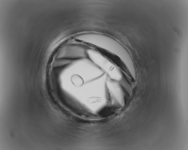 X0000113540344200910091248