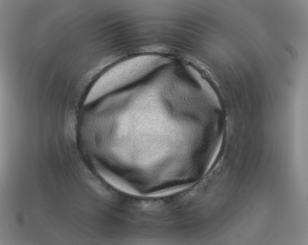 X0000113540345200910091248