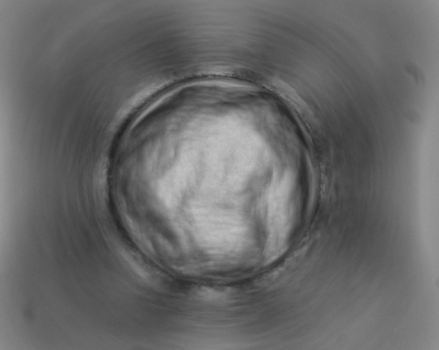 X0000113540346200910091248