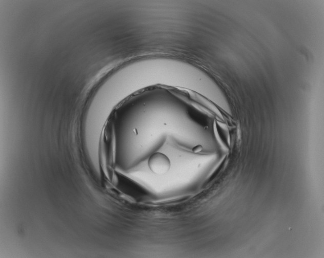 X0000113540348200910091248