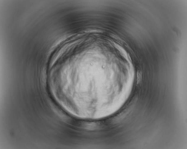 X0000113540349200910091248