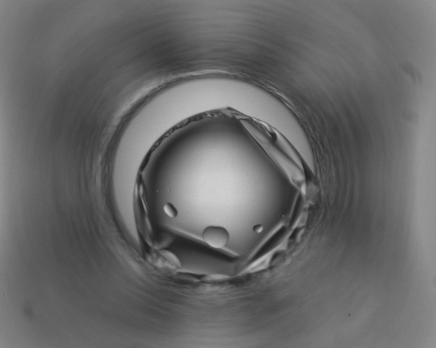 X0000113540350200910091248
