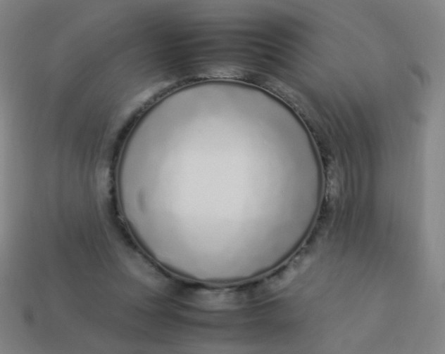 X0000113540351200910091248