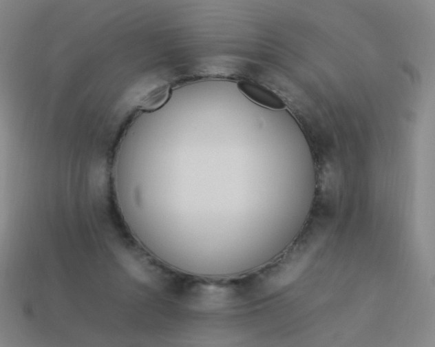 X0000113540352200910091248