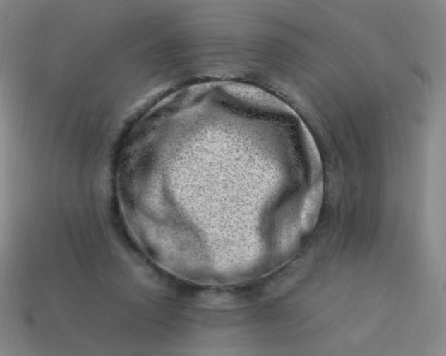 X0000113540354200910091248