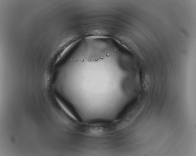 X0000113540355200910091248