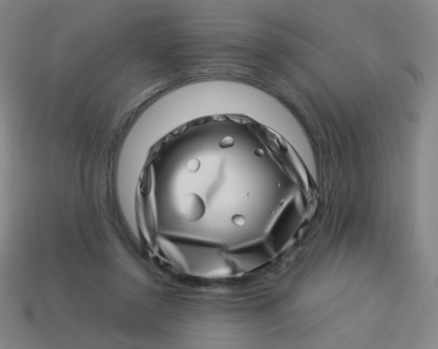 X0000113540356200910091248