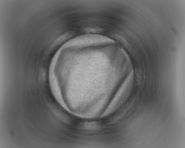 X0000113540357200910091248