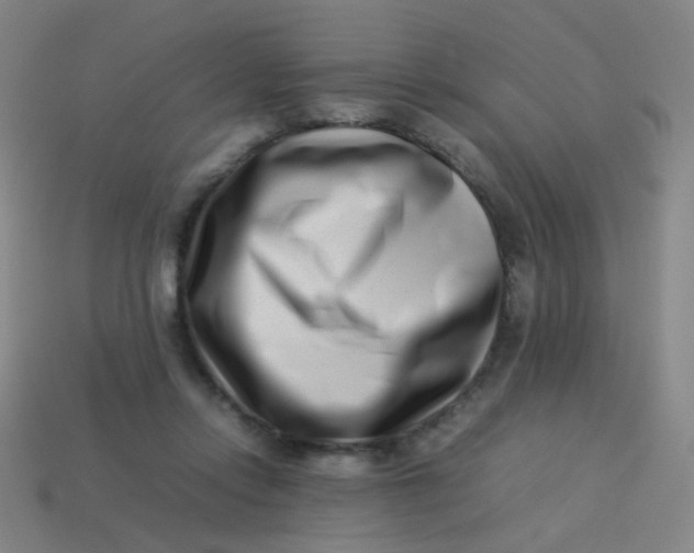 X0000113540358200910091248