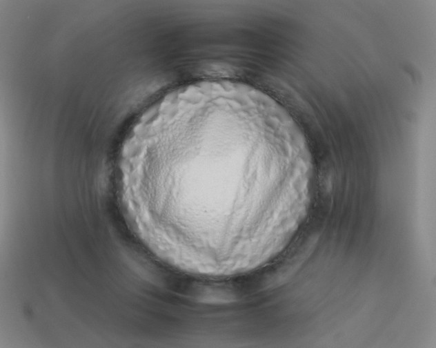 X0000113540359200910091248