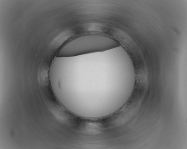 X0000113540360200910091248