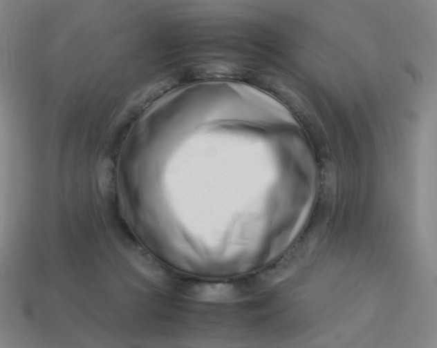 X0000113540361200910091248