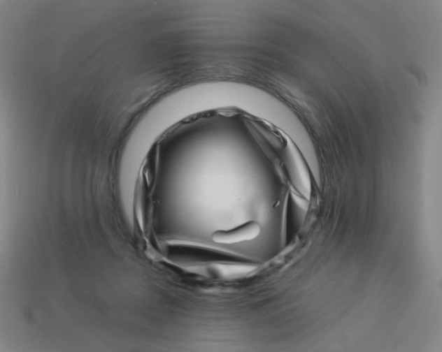 X0000113540362200910091248