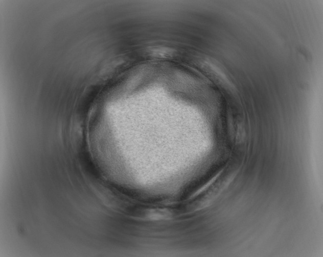 X0000113540363200910091248
