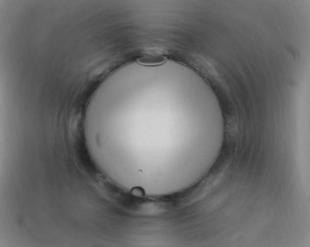 X0000113540364200910091248