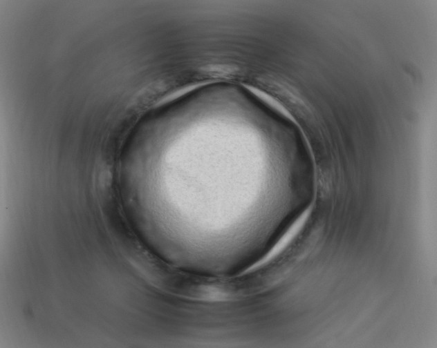 X0000113540365200910091248