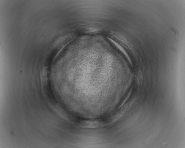 X0000113540366200910091248