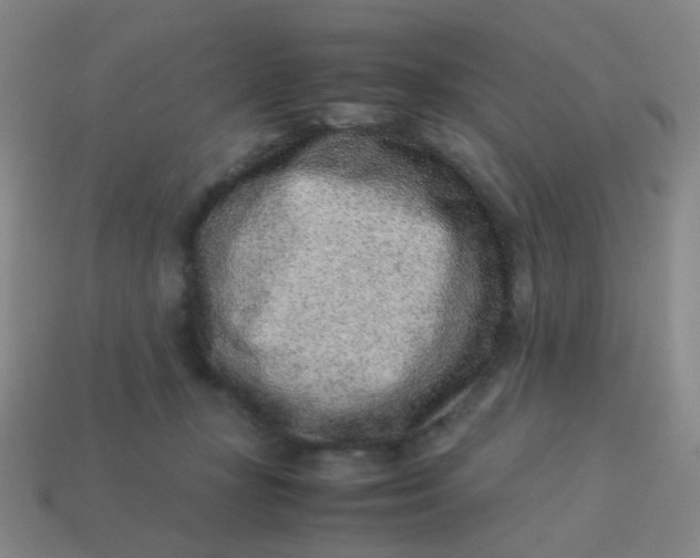 X0000113540367200910091248