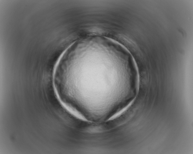 X0000113540369200910091248