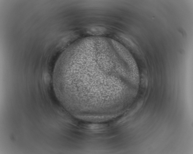 X0000113540371200910091248