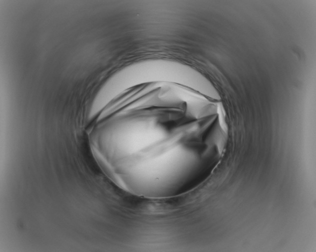 X0000113540372200910091248