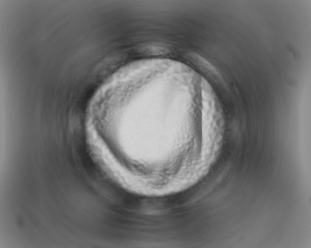 X0000113540373200910091248