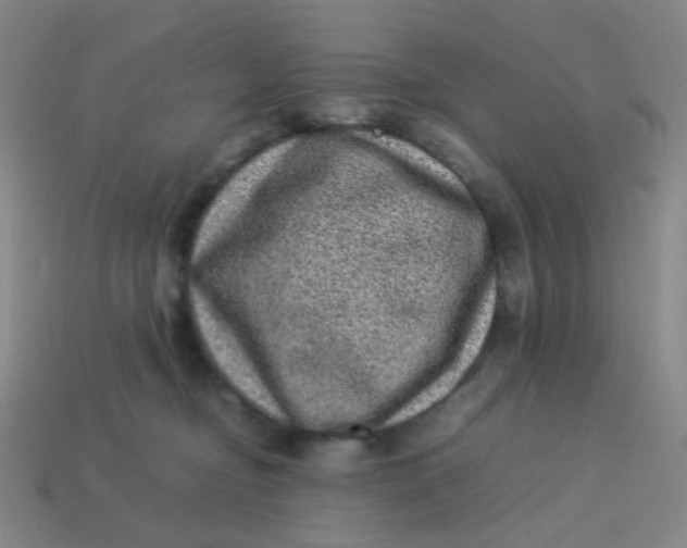 X0000113540374200910091248