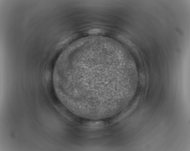 X0000113540375200910091248
