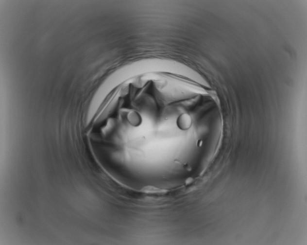 X0000113540376200910091248
