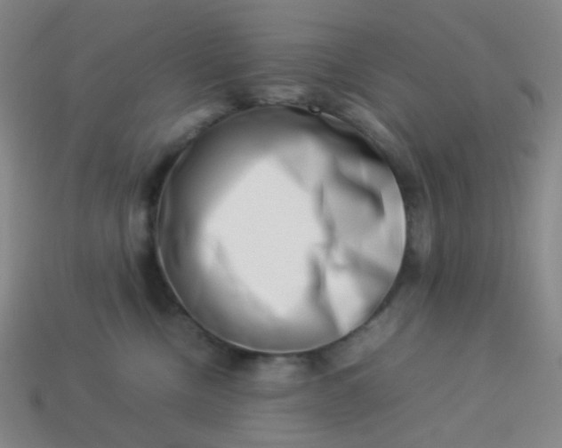 X0000113540378200910091248