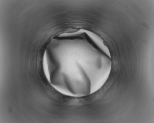 X0000113540379200910091248