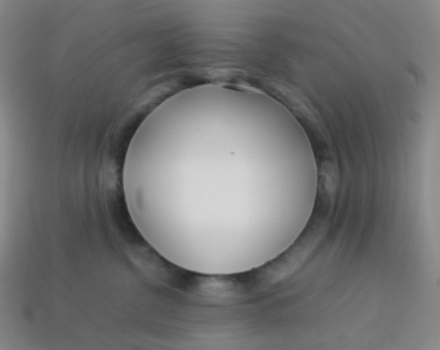 X0000113540380200910091248