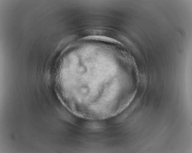 X0000113540381200910091248