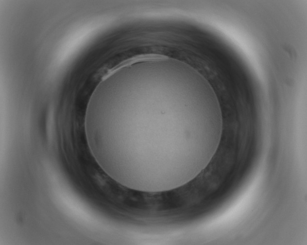 X0000113540382200910091248
