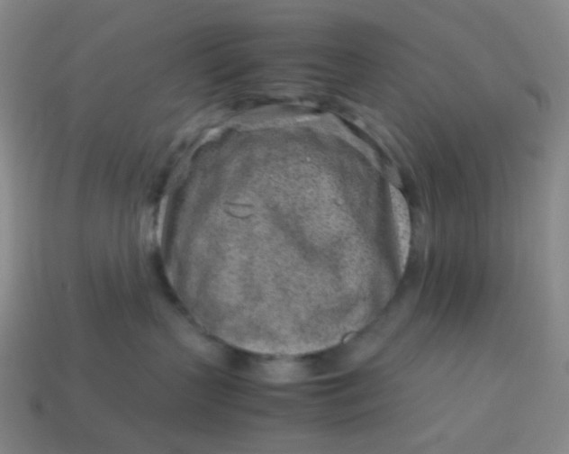 X0000113540383200910091248