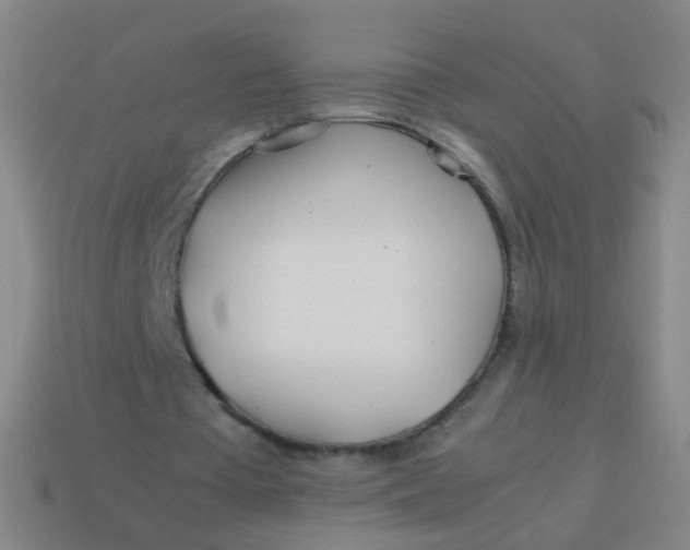 X0000113540385200910091248