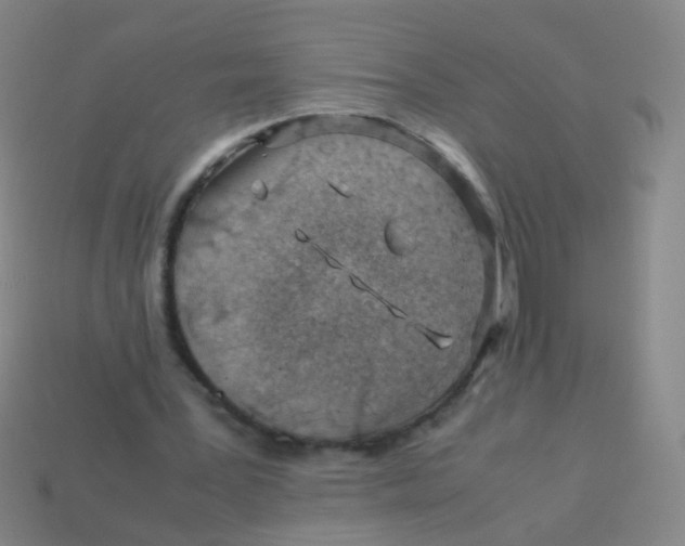 X0000113540387200910091247