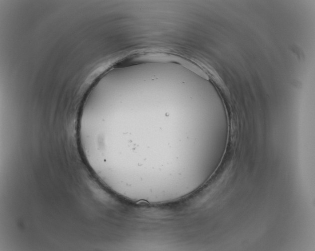 X0000113540389200910091247