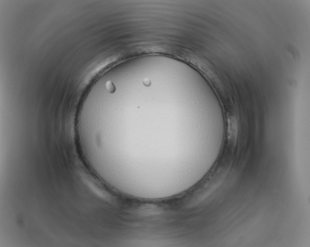 X0000113540390200910091247