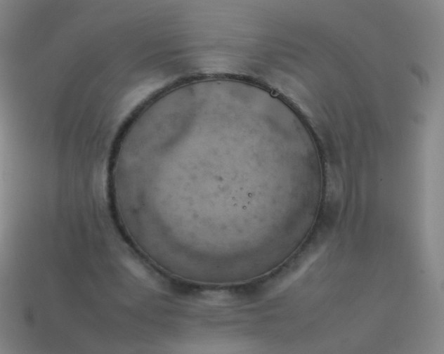 X0000113540391200910091247