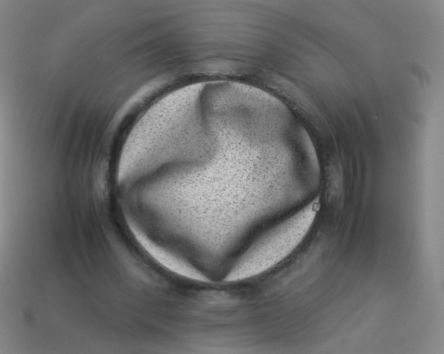 X0000113540392200910091247