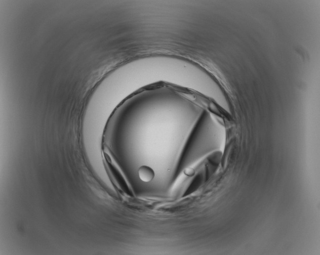 X0000113540393200910091247