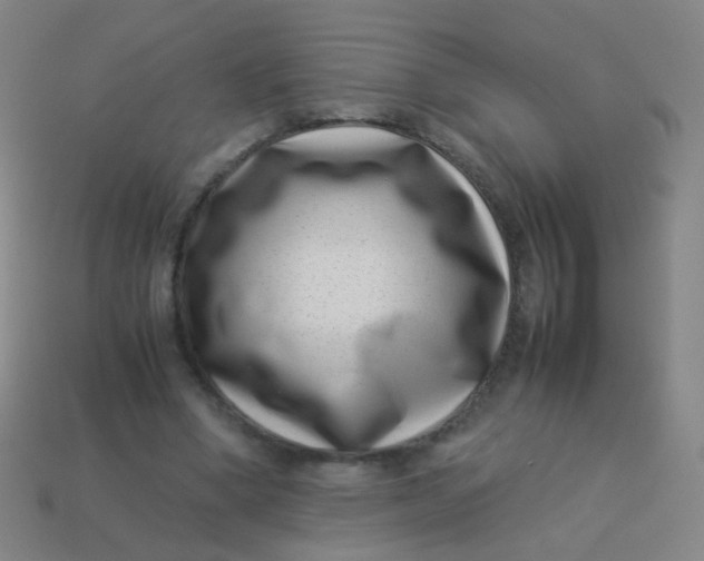 X0000113540394200910091247
