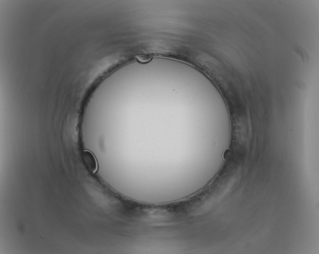 X0000113540395200910091247