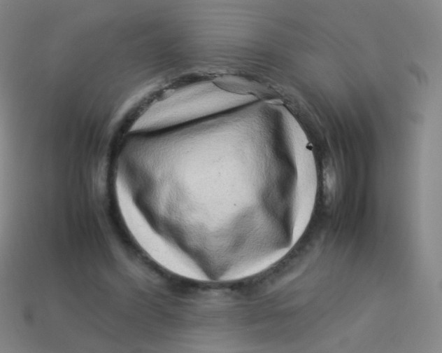 X0000113540396200910091247